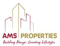 AMS Logo